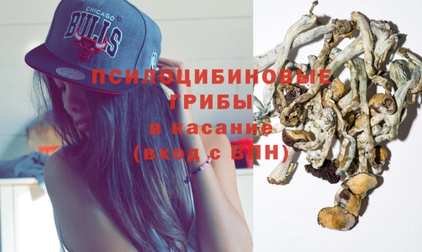 a pvp Осинники