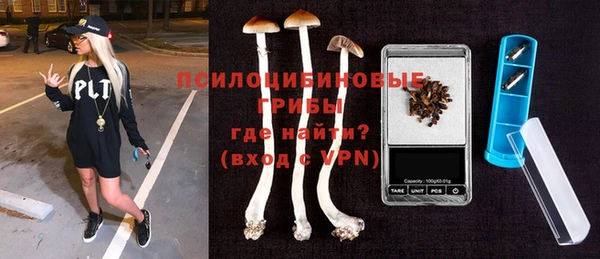 амф Няндома