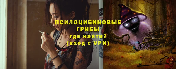 молекула духа Нязепетровск